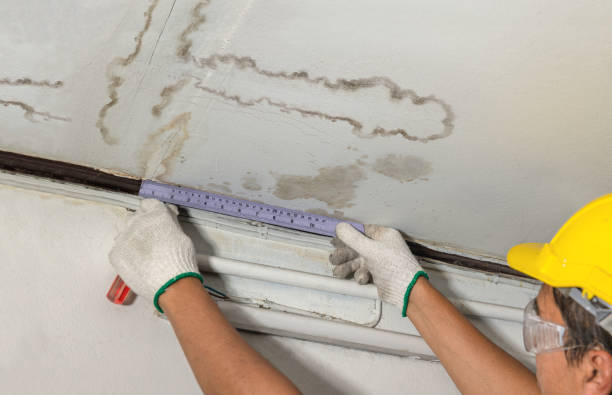 Affordable Structural Drying solutions in Cement City, MI
